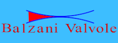 balzani valvole Valvole in Gomma para, Valvole in Hypalon, Valvole in EPDM, Valvole in Viton